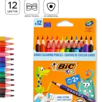 Карандаши цветные 12 цветов, детские, утолщённые, трёхгранные, BIC Kids Evolution Triangle, пластиковые, премиум, картонная упаковка