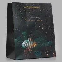 Пакет подарочный &laquo;Волшебного Нового года&raquo;, 18&times;10&times;22.3 см