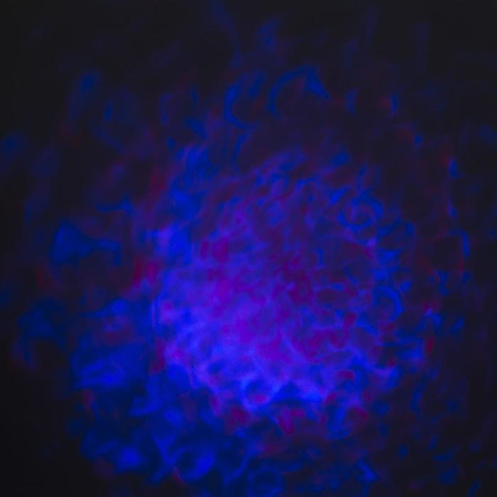 Световой прибор «Хрустальный шар» 5 см, поворотное крепление, пульт ДУ, свечение RGB, 220 В Световой прибор «Хрустальный шар» 5 см, поворотное крепление, пульт ДУ, свечение RGB, 220 В