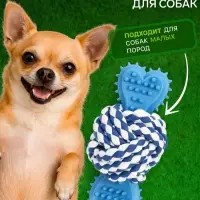 Игрушка для собак канатная &laquo;Мяч с костью&raquo;, до 11 см, до 55 г, синяя
