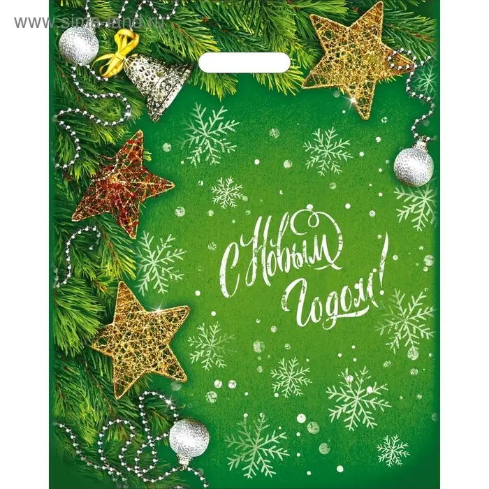 Пакет «Серебряные бусы», полиэтиленовый с вырубной ручкой, 47×38 см