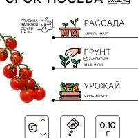 Семена Томат комнатный &laquo;Минибел&raquo;, 0.1 г, &laquo;Рецепты дедушки Никиты&raquo;
