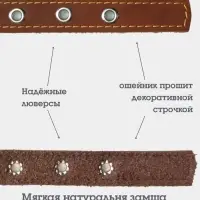 Ошейник, 45&times;2 см, с подкладом и декоративной лентой, кожа, коричневый