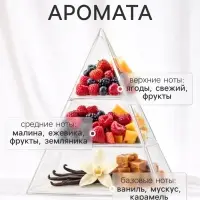 Диффузор ароматический с палочками Nero Vega, 50 мл