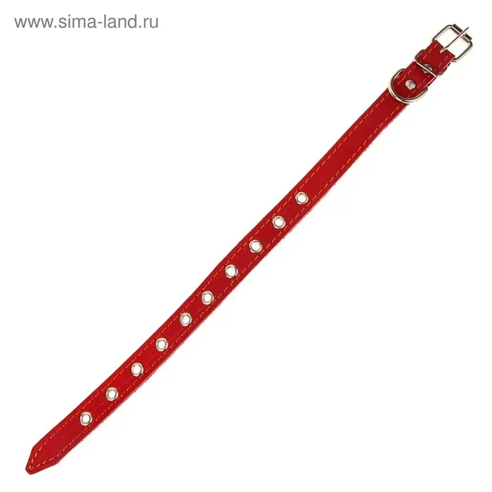 Ошейник кожаный однослойный безразмерный, 45&times;2 см, ОШ 18-39 см, красный
