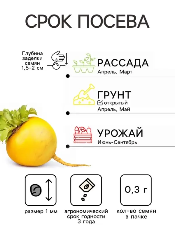 Семена Репа Сказочная (УД) Е/П , Е/П,  0,3 г.