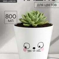 Кашпо для цветов &laquo;Мордочка&raquo;, 800 мл, d=12 см, h=11 см, пластиковое