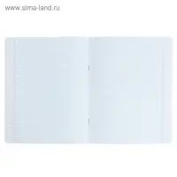 Тетрадь 12 листов в клетку &laquo;Котомания&raquo;, обложка мелованная бумага, МИКС