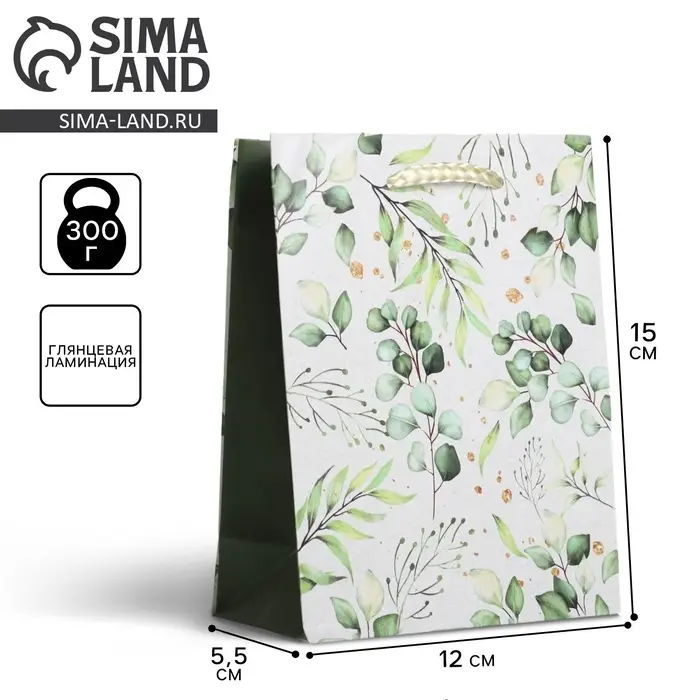 Пакет подарочный ламинированный, упаковка, Present for you, S 12 х 15 х 5.5 см