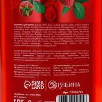 Шампунь для волос, питающий уход, аромат малины, 400 мл, Рябина