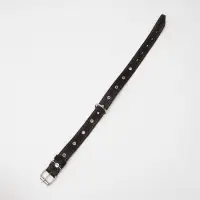 Ошейник кожаный тисненый однослойный, безразмерный, 3&times;60 см, ОШ 42-55 см, микс цветов