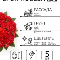 Семена цветов Петуния &laquo;Валентайн F1&raquo;, махровая, крупноцветковая, однолетник, гранулы, &laquo;Гавриш&raquo;