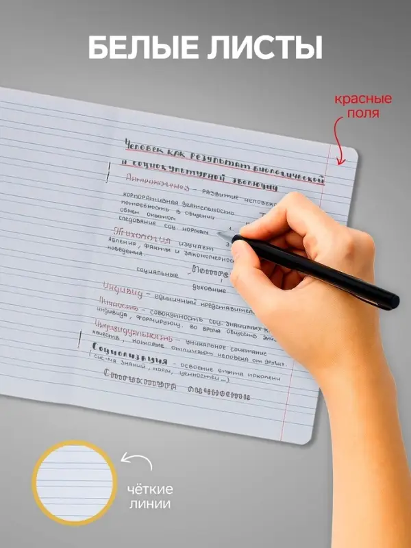 Набор тетрадей 12 листов в узкую линейку Calligrata "Пятёрка. Зелёная", обложка мелованный картон, 10 шт.