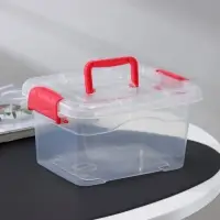 Контейнер для хранения Доляна, 20&times;15&times;10.5 см, крышка с ручкой на защёлке, МИКС