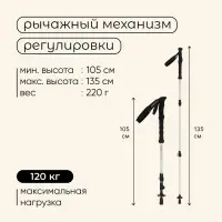 Палка трекинговая maclay Carbon 900, телескопическая, 1 шт.
