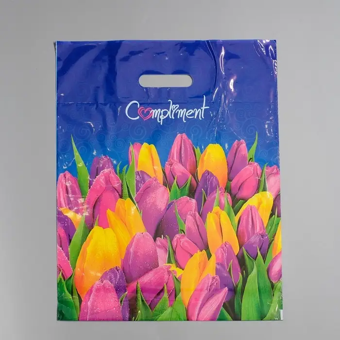 Пакет &laquo;Комплимент&raquo;, полиэтиленовый с вырубной ручкой, 60 мкм 38&times;47 см