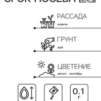 Семена цветов Астра &laquo;Махровые мячи&raquo; смесь сортов, однолетник, 0.1 г, &laquo;Аэлита&raquo;