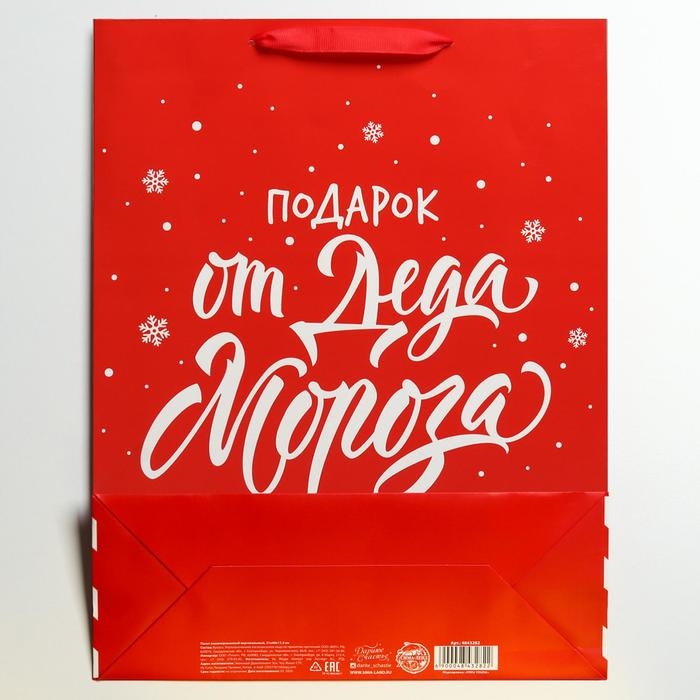 Пакет подарочный новогодний ламинированный &laquo;Подарок от Деда Мороза&raquo;, L 31 х 40 х 11,5 см, Новый год