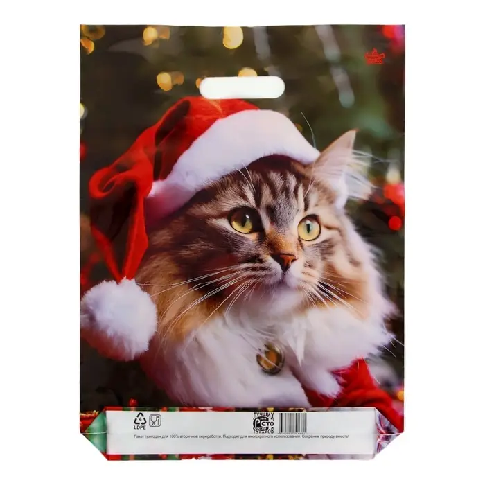 Пакет подарочный новогодний &laquo;Новогодний Мур&raquo;, полиэтиленовый с вырубной ручкой, гл 40&times;31 см