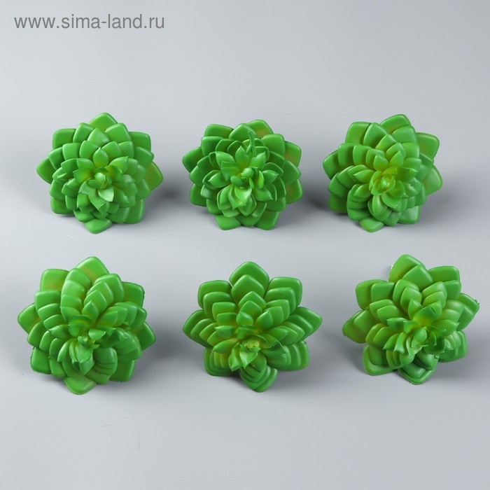 Искусственный суккулент для создания флорариума  Искусственный суккулент для создания флорариума "Молодило" 6х7,5х7,5 см