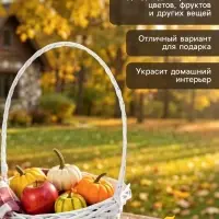 Корзина плетёная для хранения, из лозы, 39&times;29&times;49 см, с ручкой, белая, Greengo