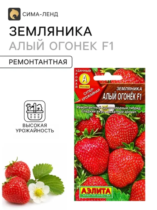Семена Земляника &laquo;Алый огонек&raquo;, F1, &laquo;Агрофирма АЭЛИТА&raquo;, ремонтантная, крупноплодная, 10 шт.
