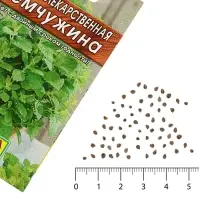 Семена Мелисса лекарственная &laquo;Жемчужина&raquo;, 0.1 г, &laquo;Аэлита&raquo;