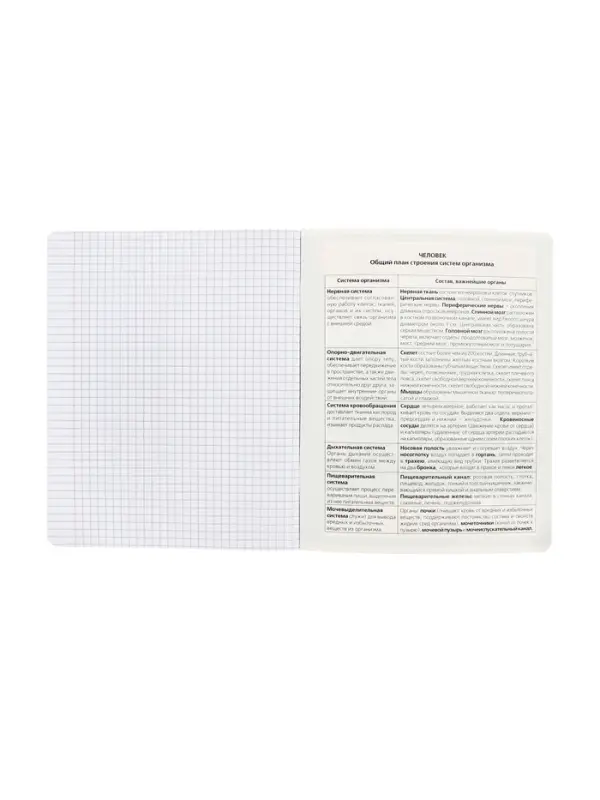 Тетрадь 48 листов в клетку &laquo;Буквица&raquo; БИОЛОГИЯ, обложка мелованный картон, матовая ламинация, тиснение фольгой, с интерактивным справочником, ...