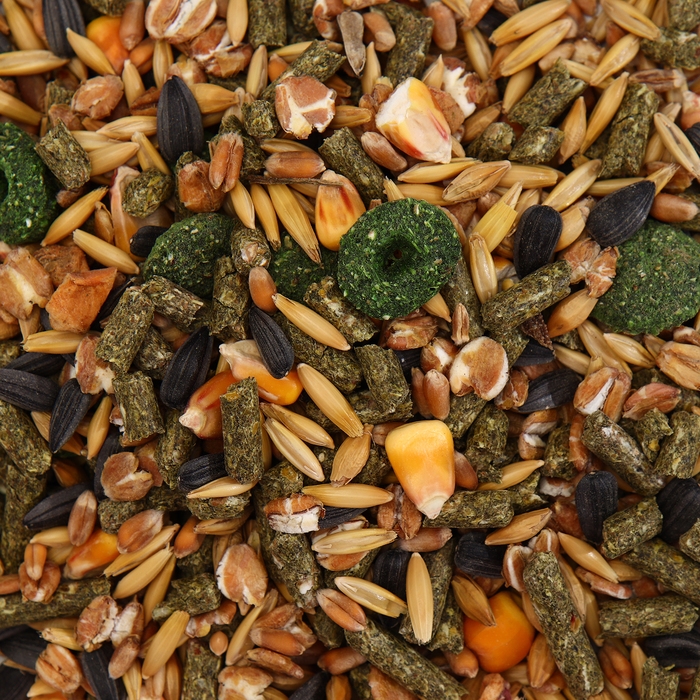 Корм  Корм "Пижон" для морских свинок, с фруктами, 400 г