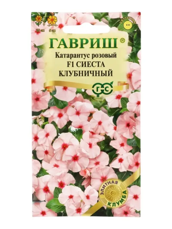 Семена цветов Катарантус Сиеста клубничный F1* 5 шт.