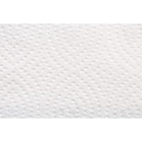 Полотенца бумажные д/дисп. FOCUS Eco Vсл 1сл бел 250л 15пач/уп 5083741 п/э