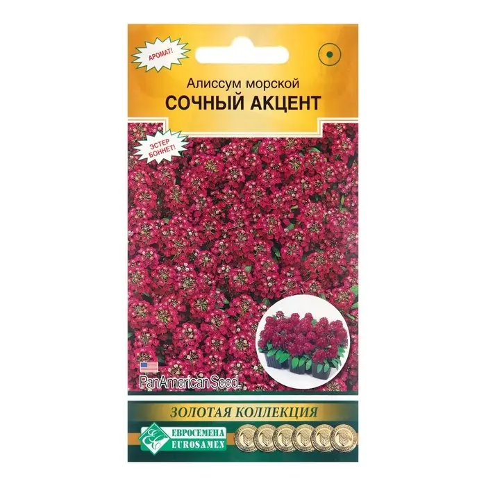 Семена цветов Алиссум морской Семена цветов Алиссум морской "Сочный Акцент", 0,01 г