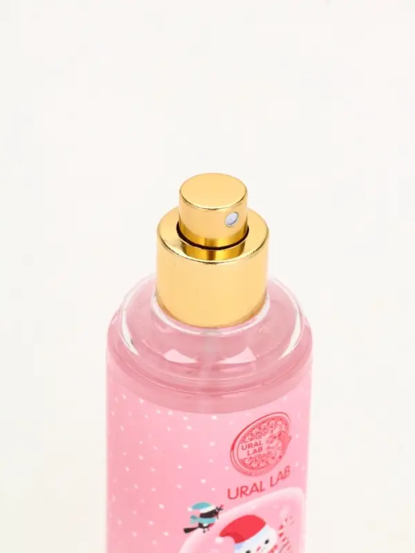 Подарочный набор косметики «Счастья в Новом году», гель для душа, мочалка и мист, URAL LAB