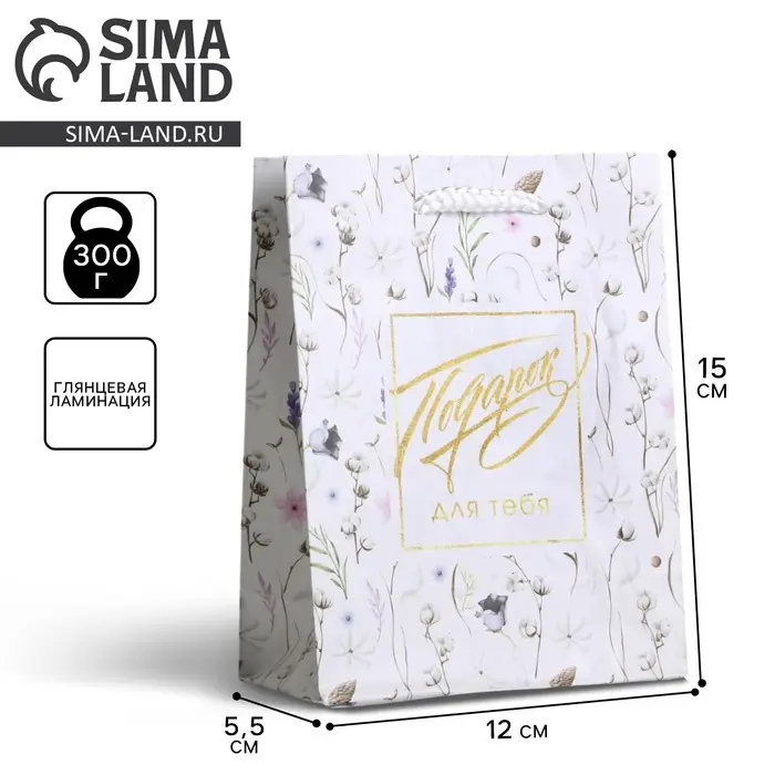 Пакет подарочный ламинированный, упаковка, Gift for you, S 12 х 15 х 5.5 см