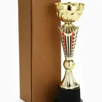 Кубок 189С, наградная фигура, золото, подставка пластик, 27.5&times;8&times;8 см