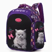 Рюкзак школьный для девочки, с эргономичной спинкой, с пеналом, 30&times;12&times;36 см, разноцветный