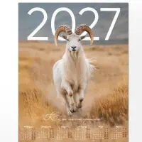 Календарь 2027, настенный, А1 &laquo;Козел&raquo;