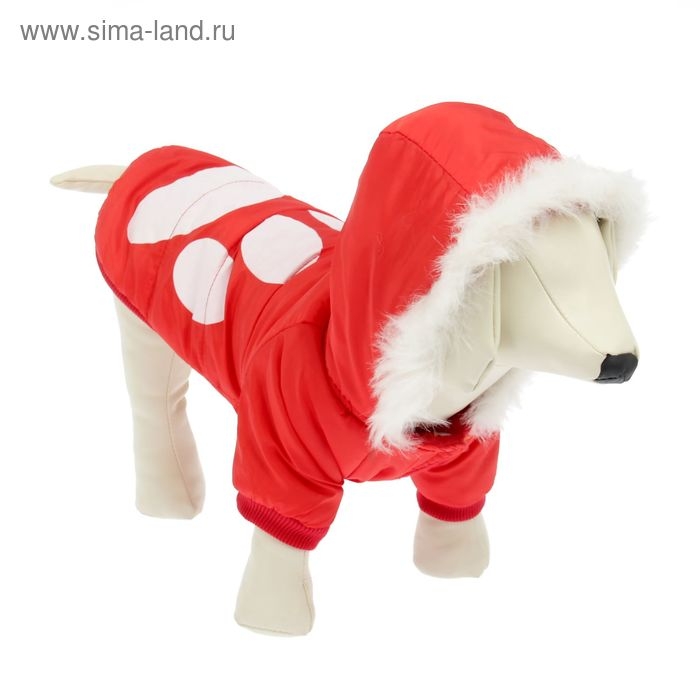 Куртка с капюшоном и мехом, размер XS (ОШ 22, ОГ 32, ДС 20 см), красная Куртка с капюшоном и мехом, размер XS (ОШ 22, ОГ 32, ДС 20 см), красная