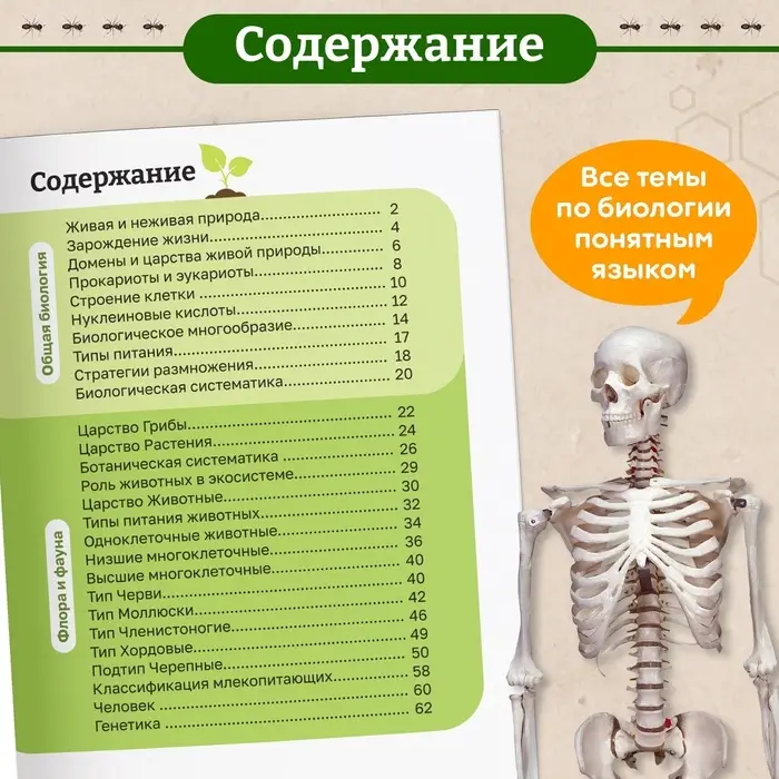 Энциклопедия в мягком переплёте &laquo;Биология для детей&raquo;, 68 стр.