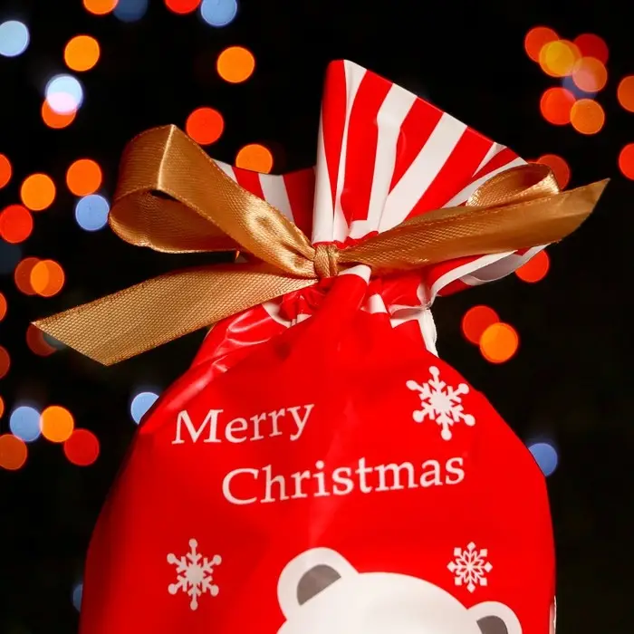 Пакет полиэтиленовый подарочный «Белый медведь», с завязками, 14.5×22.5 см Пакет полиэтиленовый подарочный «Белый медведь», с завязками, 14.5×22.5 см