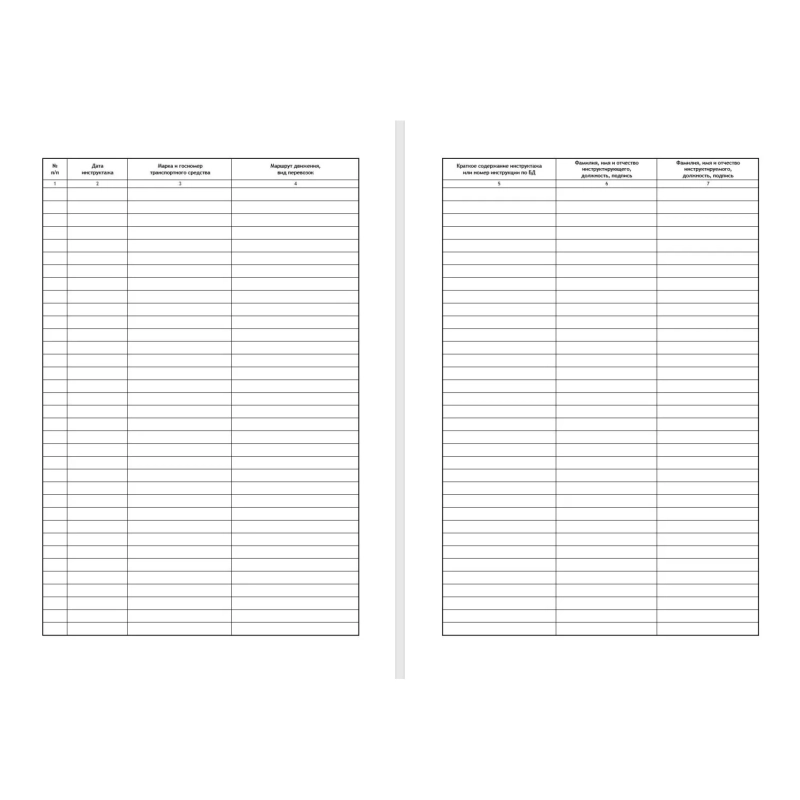 Журнал регистрации вводного инструктажа по БДД ТС032-Э