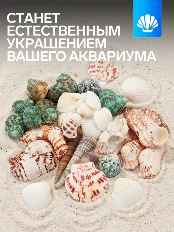 Набор ракушек &laquo;Пижон Аква&raquo;, 200 г, микс №1