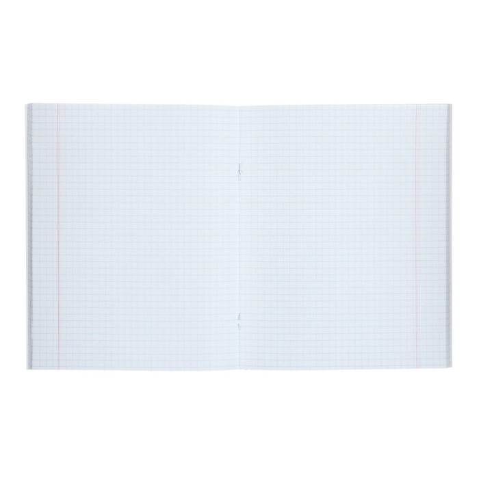 Комплект тетрадей из 5 штук, 48 листов в клетку Calligrata Комплект тетрадей из 5 штук, 48 листов в клетку Calligrata "Neon", обложка мелованный картон, УФ-лак, блок офсет