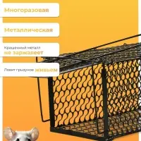 Крысоловка, 24&times;12&times;12 см, металлическая, Greengo