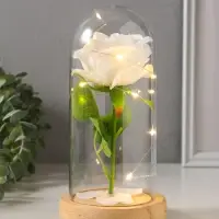 Фигурка световая колба RISALUX &laquo;Роза&raquo;, LED - ночник, 3&times;ААА, белый, 9.5&times;9.5&times;19.5 см