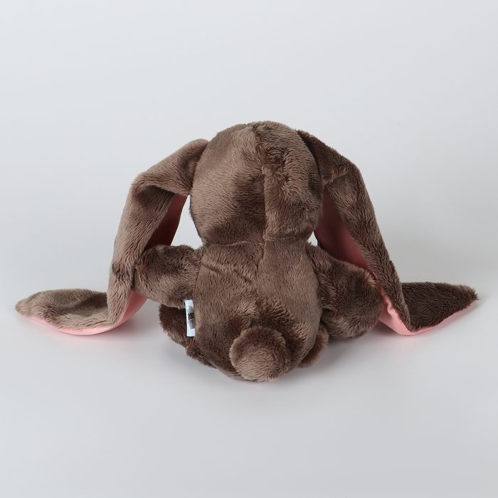 Мягкая игрушка «Зайка Li», с книгой, девочка, заяц, 25 см Мягкая игрушка «Зайка Li», с книгой, девочка, заяц, 25 см