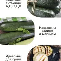 Семена Кабачок цукини &laquo;Цукеша&raquo;, 1.5 г, ранний, &laquo;Удачные семена&raquo;