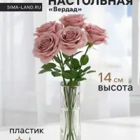 Ваза для цветов &laquo;Вердад&raquo;, 14&times;3.5 см, пластик, прозрачная