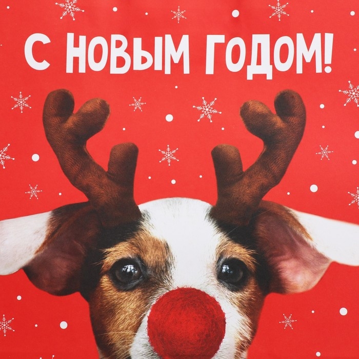 Пакет подарочный новогодний крафтовый «Олень ты», 28 х 32 х 15 см Пакет подарочный новогодний крафтовый «Олень ты», 28 х 32 х 15 см