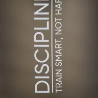 Шейкер спортивный &laquo;Discipline&raquo;, 500 мл